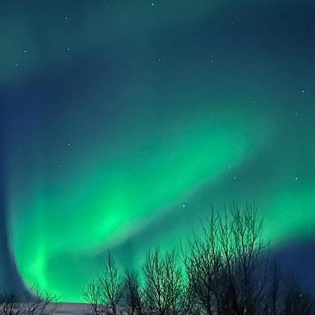 Tromsdalen Aurora Apartments Tromso Luaran gambar