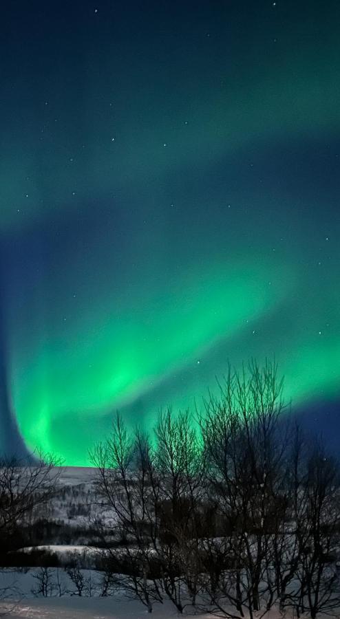 Tromsdalen Aurora Apartments Tromso Luaran gambar